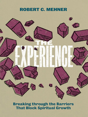 cover image of The Experience: Breaking through the Barriers That Block Spiritual Growth